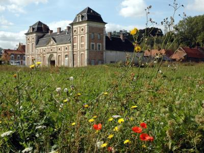 Chartreuse des dames